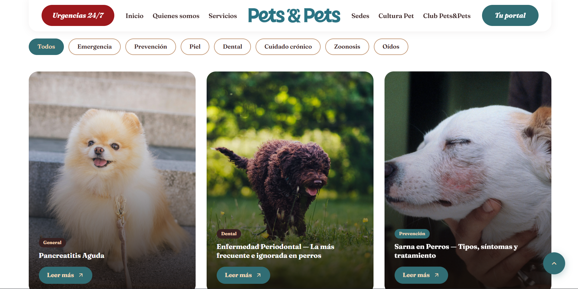 Blog Dogspital
