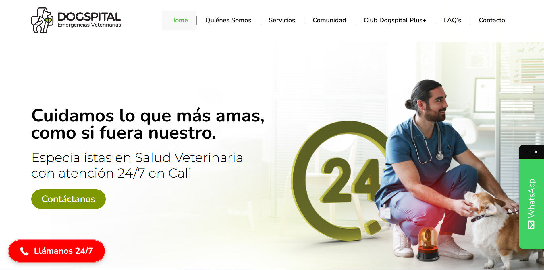Diseño original Dogspital