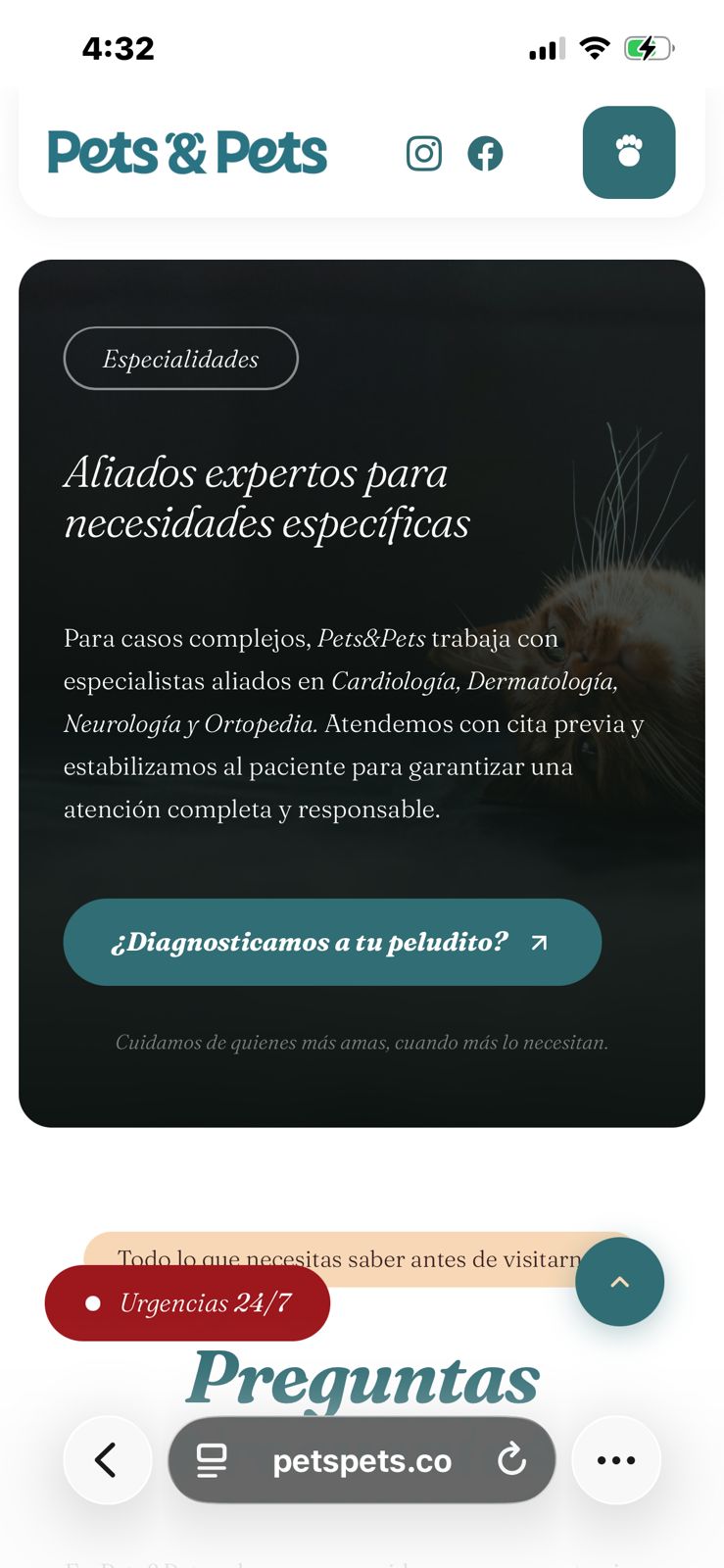 Pets & Pets expertos móvil
