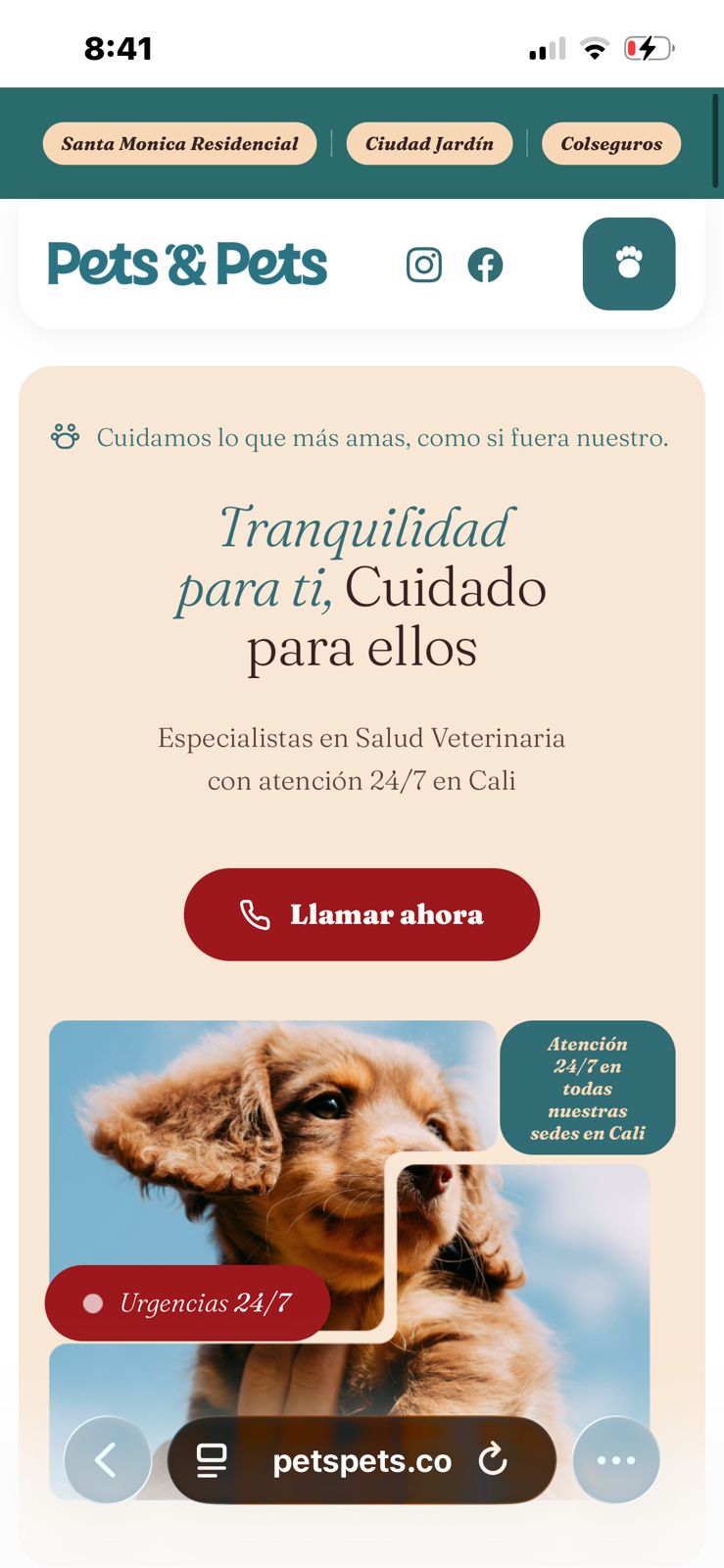 Pets & Pets home móvil