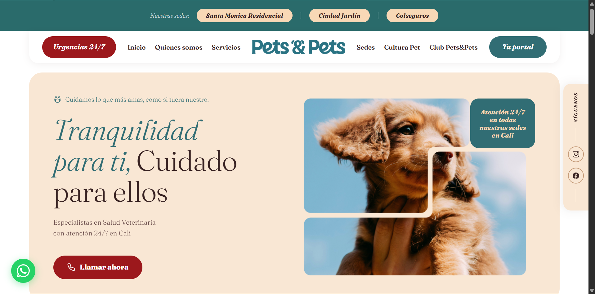 Pets & Pets