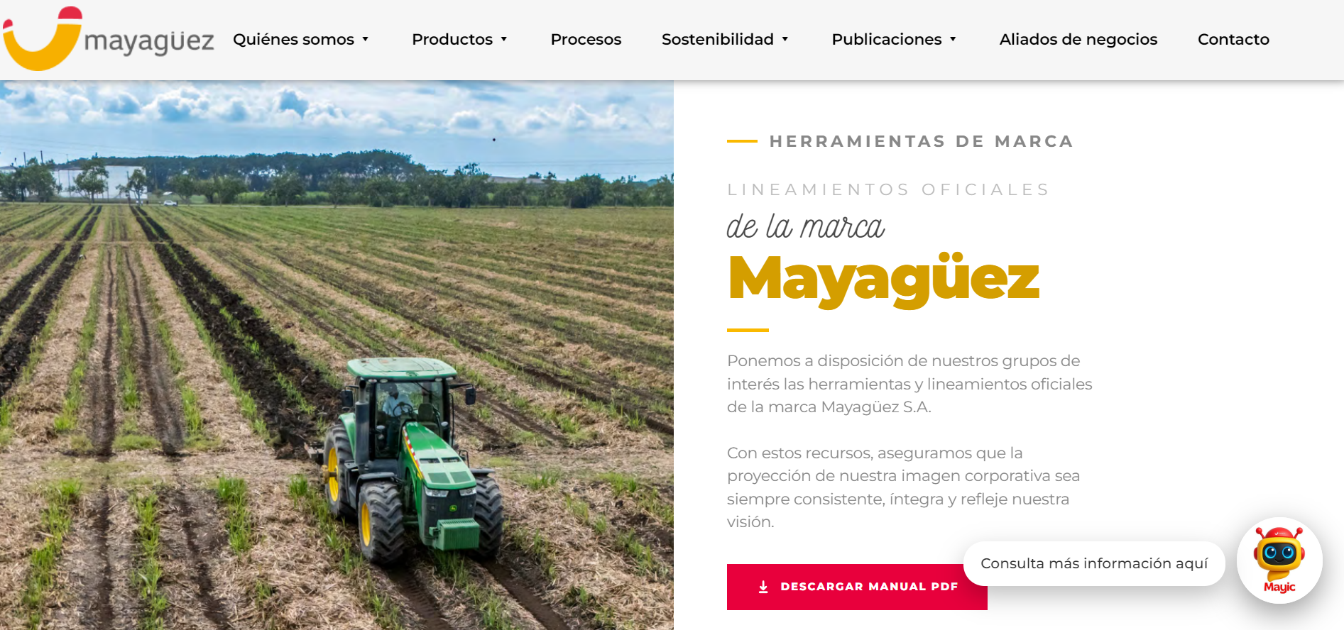 Ingenio Mayaguez — landing page corporativa