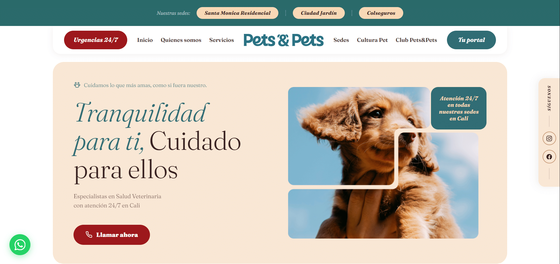 Pets&Pets — landing page para clínica veterinaria en Cali