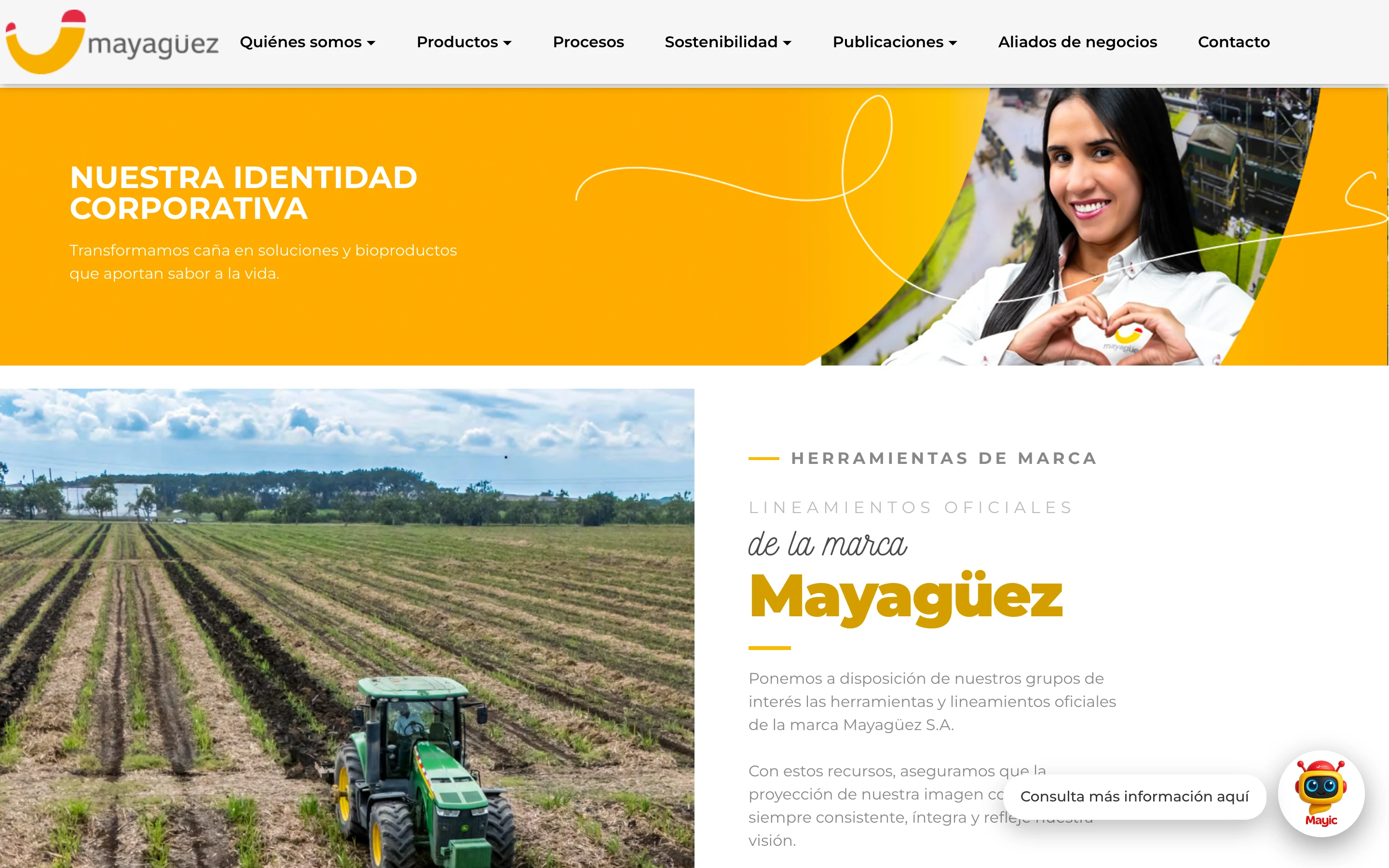 Landing Manual de marca de Ingenio Mayagüez: Nuestra identidad corporativa y lineamientos oficiales