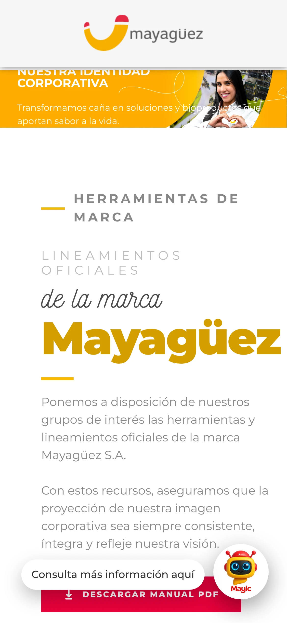 Vista móvil de la landing Manual de marca de Mayagüez