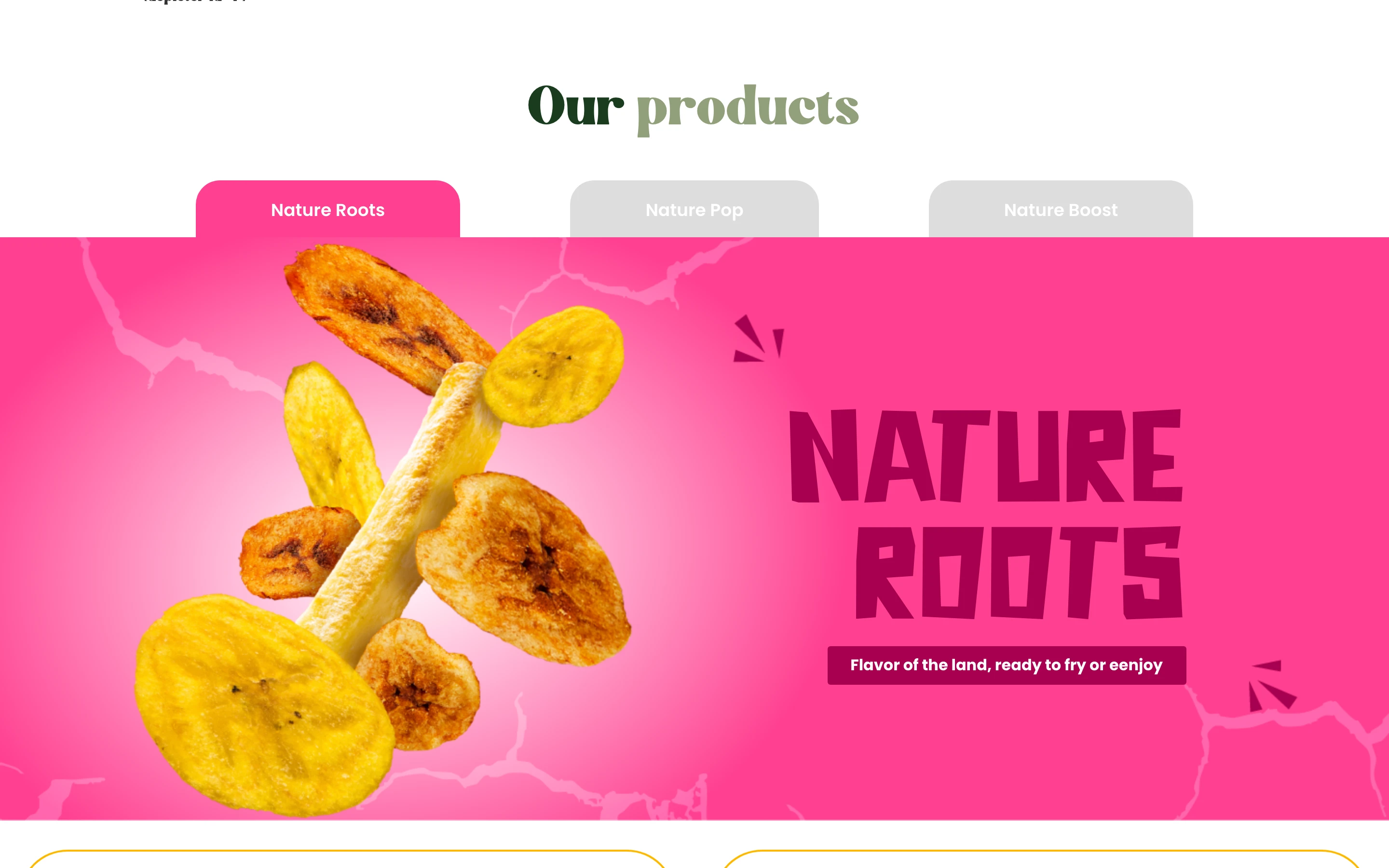 Sección Our products con la línea Nature Roots
