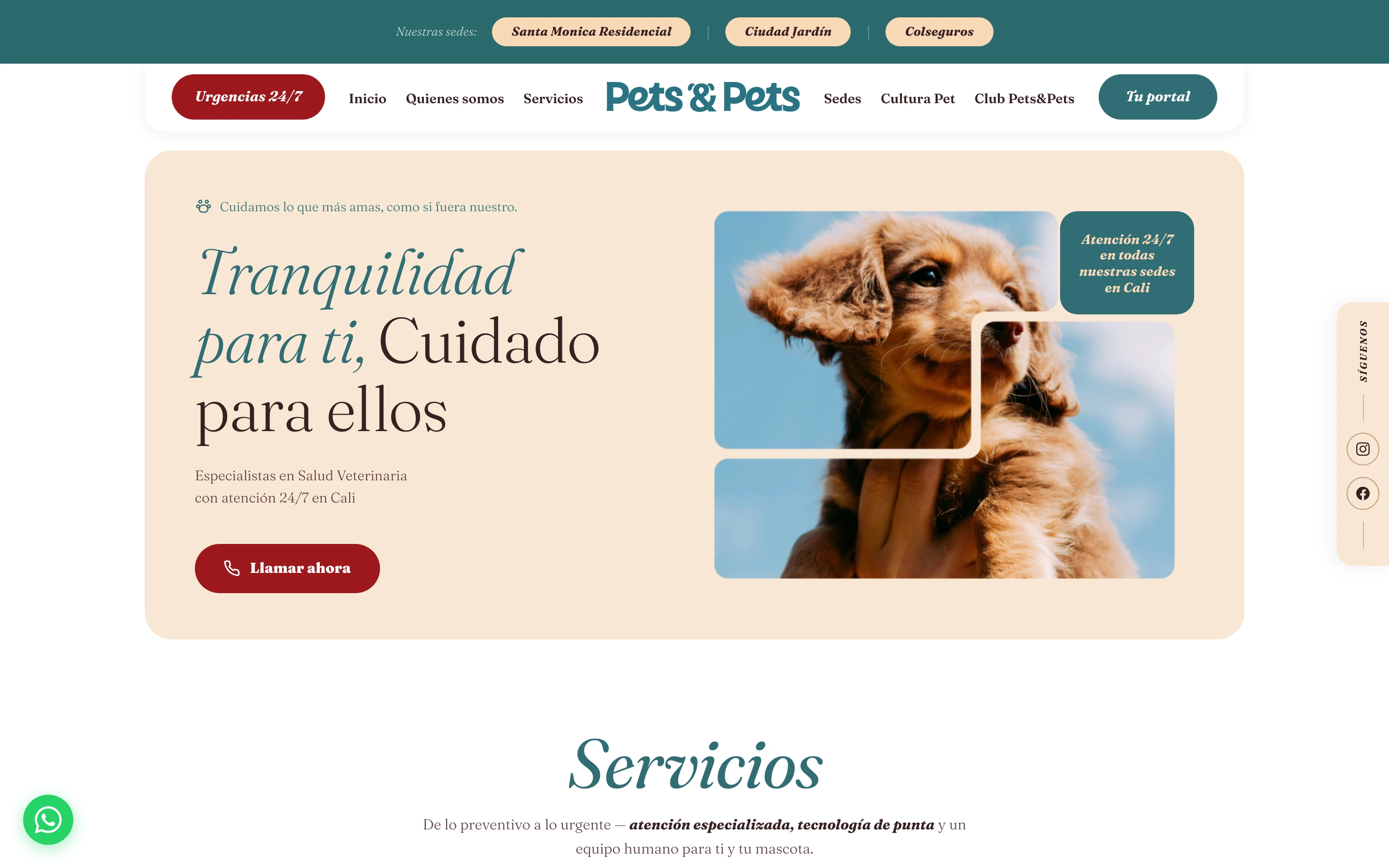 Portada de petspets.co: Tranquilidad para ti, cuidado para ellos