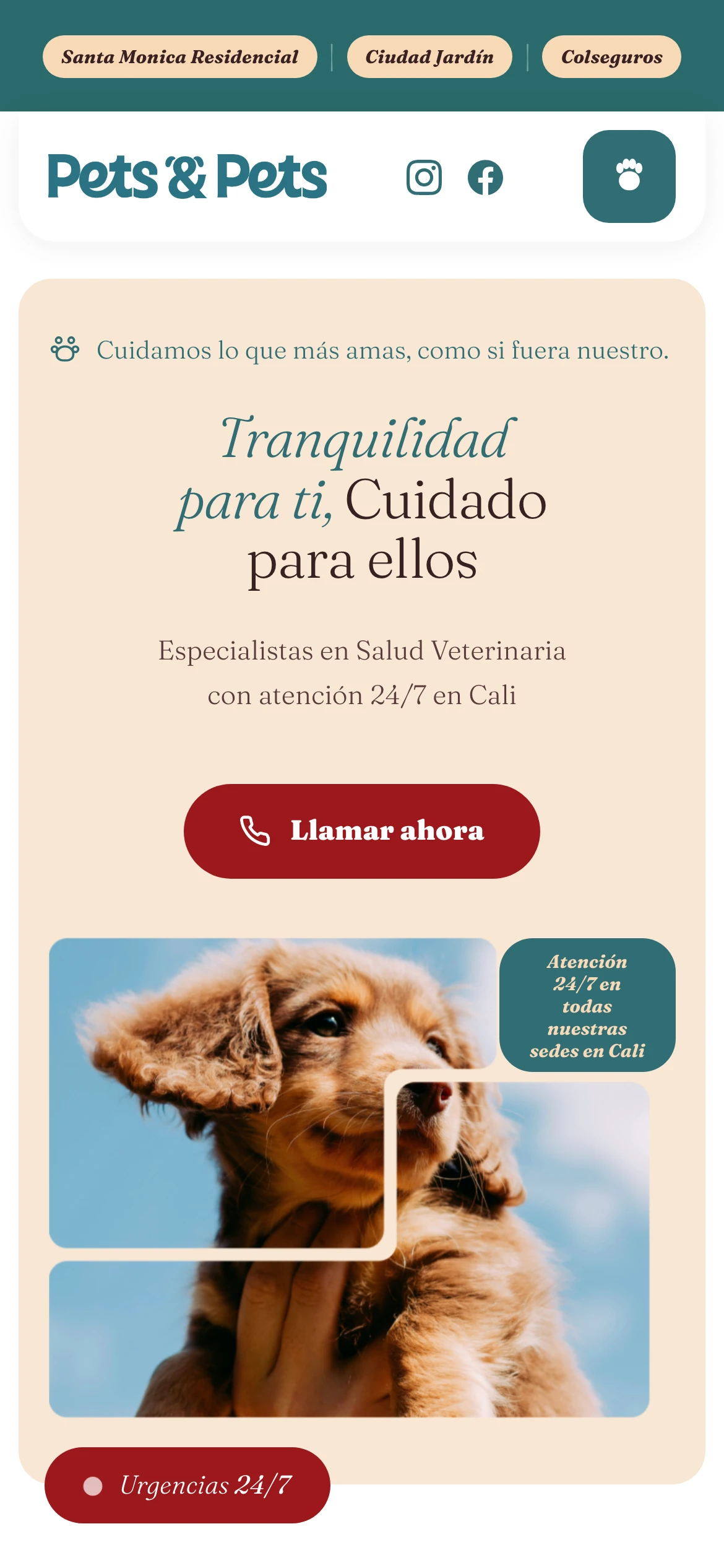 Vista móvil de la portada de Pets & Pets