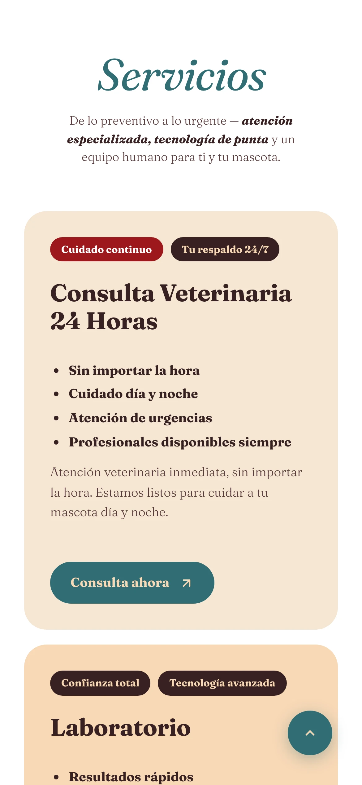 Vista móvil de los servicios de Pets & Pets