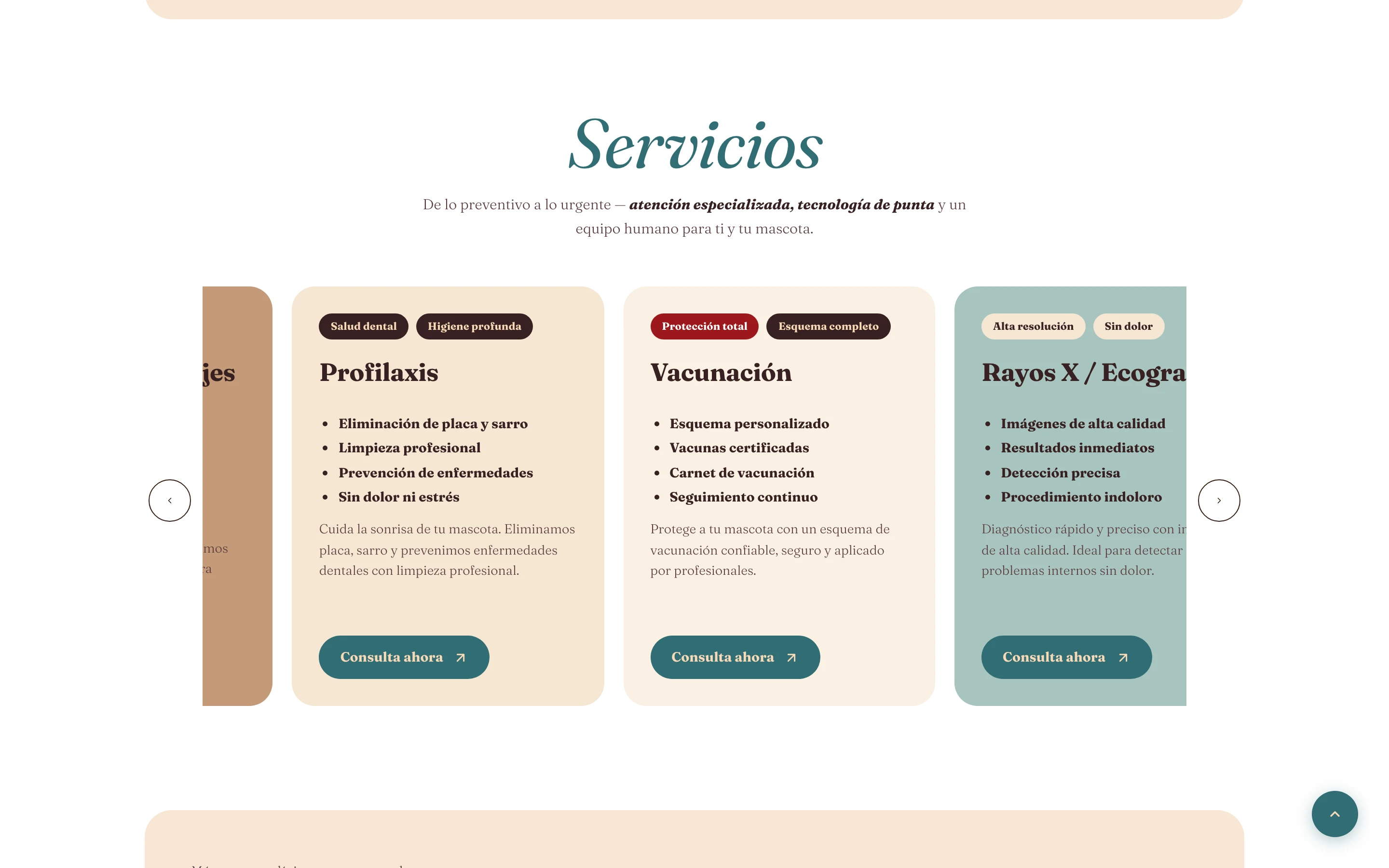 Carrusel de servicios veterinarios de Pets & Pets